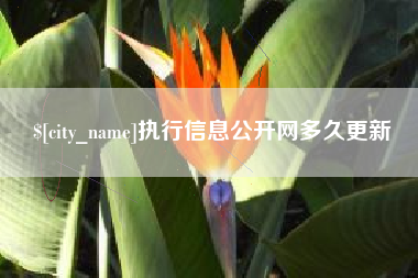 扬州执行信息公开网多久更新