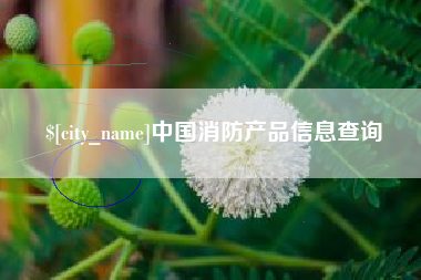 扬州中国消防产品信息查询