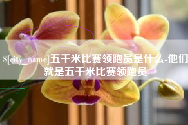 扬州五千米比赛领跑员是什么-他们就是五千米比赛领跑员