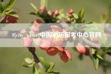 扬州中国消防报考中心官网