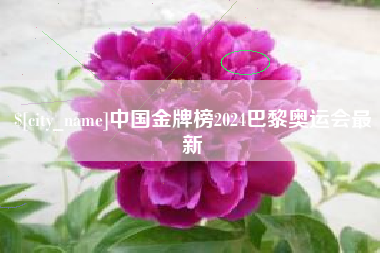 扬州中国金牌榜2024巴黎奥运会最新