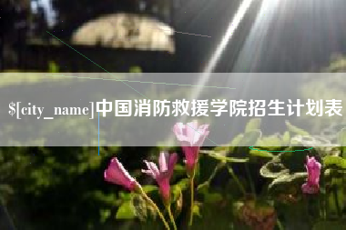 扬州中国消防救援学院招生计划表