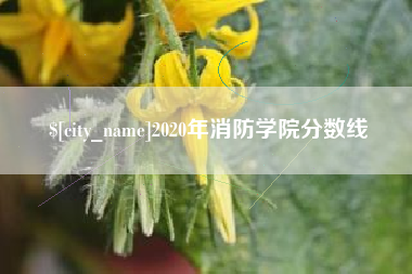 扬州2020年消防学院分数线