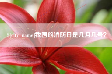 扬州我国的消防日是几月几号？