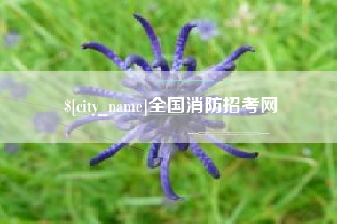 扬州全国消防招考网