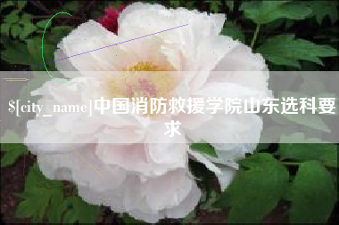 扬州中国消防救援学院山东选科要求