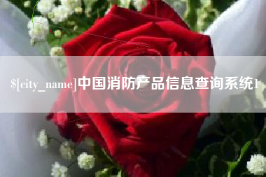 扬州中国消防产品信息查询系统1