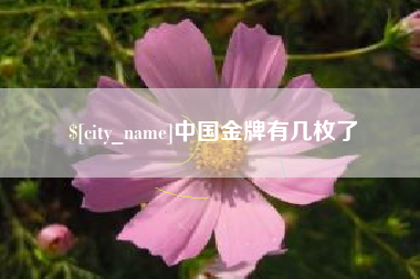 扬州中国金牌有几枚了