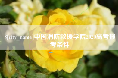 扬州中国消防救援学院2020高考报考条件