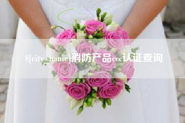 扬州消防产品ccc认证查询