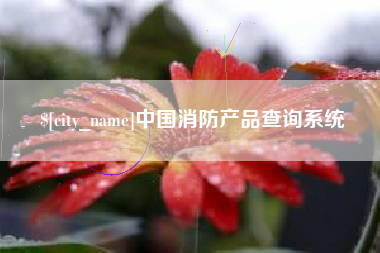 扬州中国消防产品查询系统