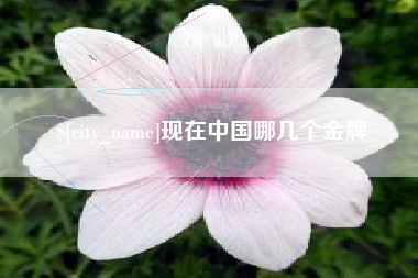 扬州现在中国哪几个金牌