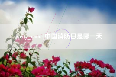 扬州中国消防日是哪一天