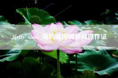 扬州消防证国网查询操作证