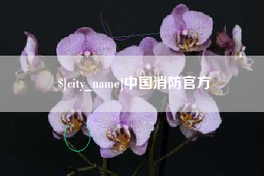 扬州中国消防官方