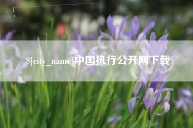 扬州中国执行公开网下载