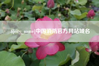 扬州中国消防官方网站域名