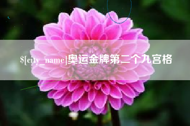 扬州奥运金牌第二个九宫格