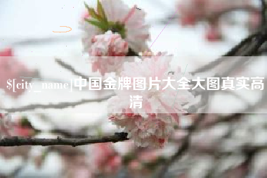 扬州中国金牌图片大全大图真实高清