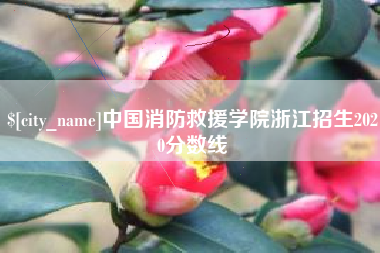 扬州中国消防救援学院浙江招生2020分数线