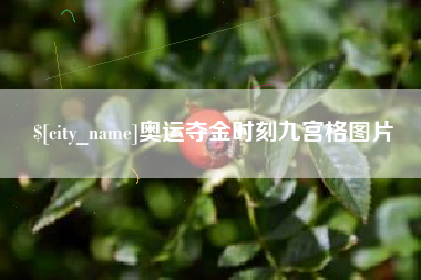 扬州奥运夺金时刻九宫格图片
