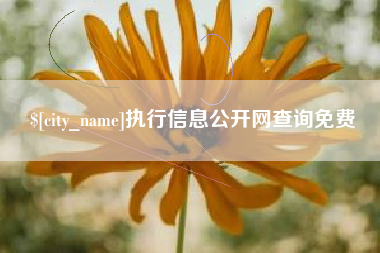 扬州执行信息公开网查询免费